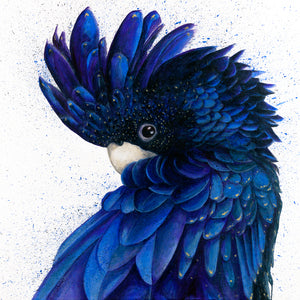 'Black & Blue' Fine Art Print